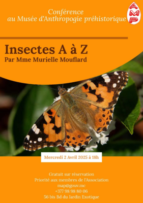 « Insectes de A à Z » par Murielle Mouflard - Conférence et visite